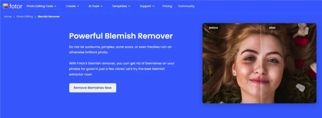 Fotor Blemish Remover Online Free